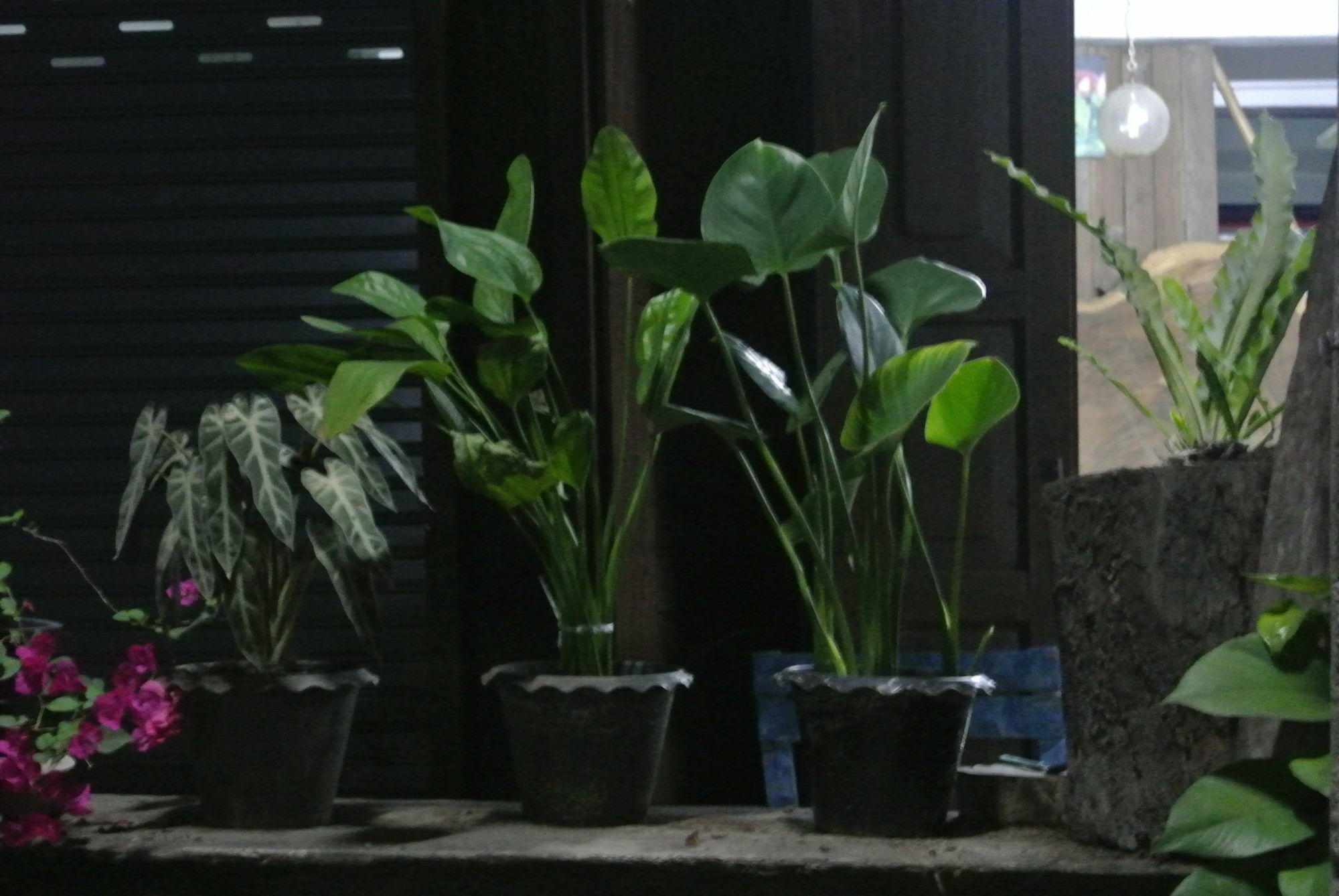 Cumpun Guest House Chiang Mai Buitenkant foto